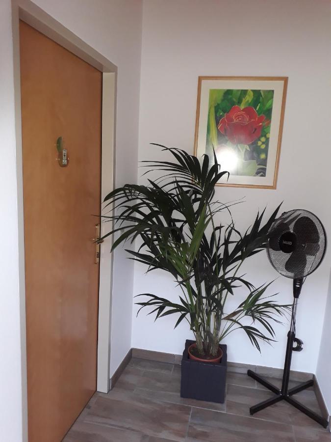 Bed and Breakfast Obsthof Glueck Gamlitz Esterno foto