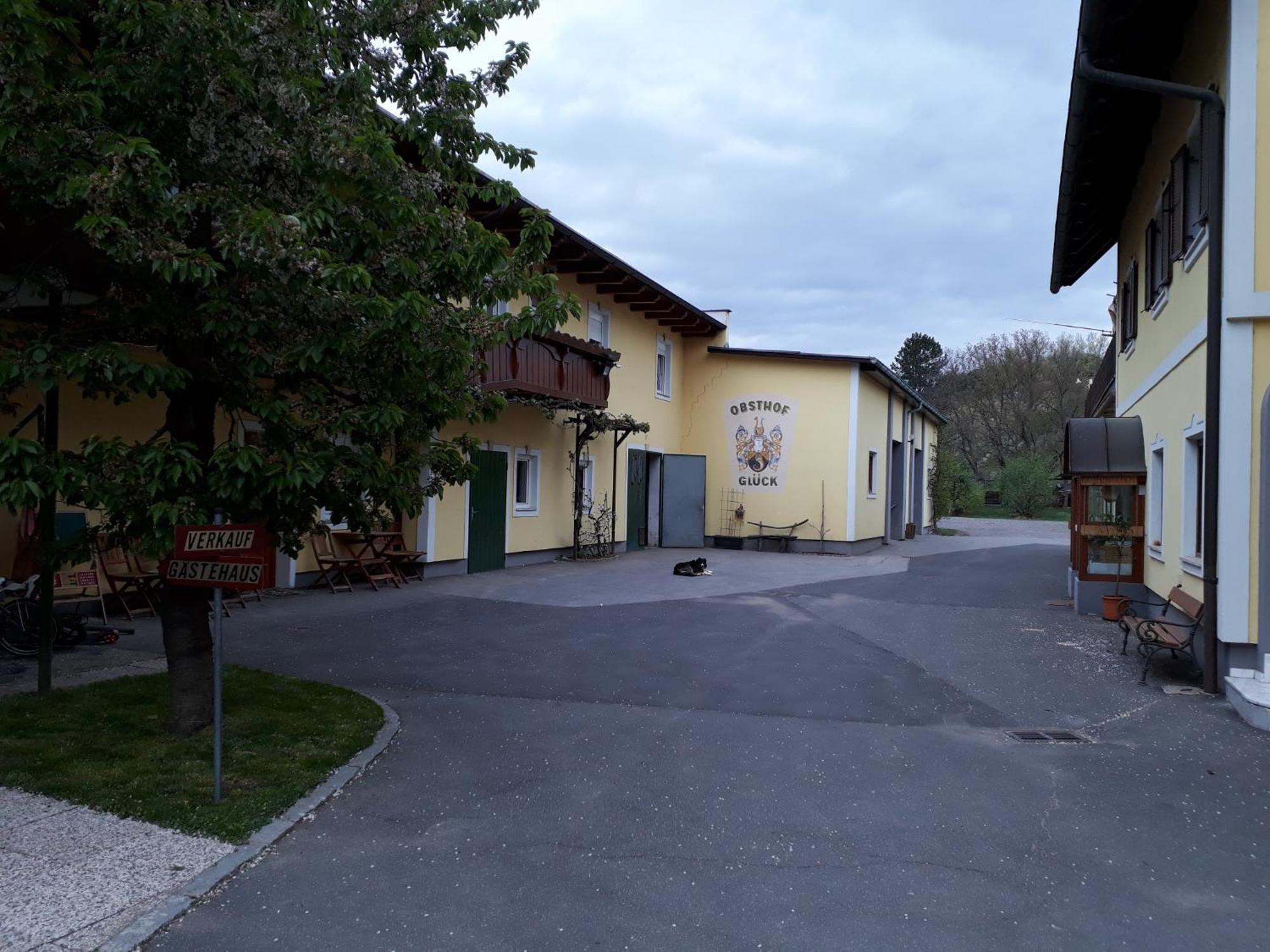 Bed and Breakfast Obsthof Glueck Gamlitz Esterno foto